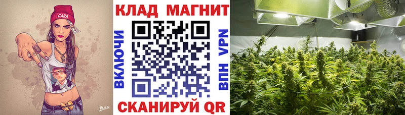 Купить наркотики сайты Ленск Кокаин Гашиш гидра сайт МАРИХУАНА