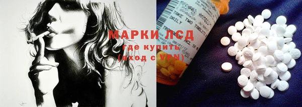 индика Сатка