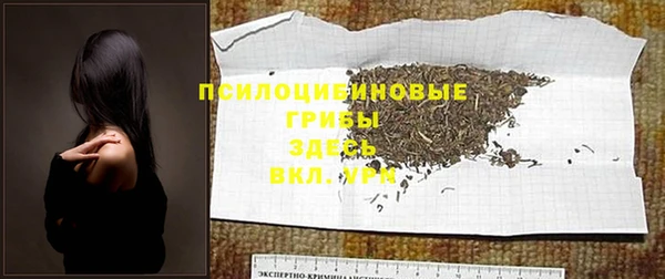 круглые Аркадак